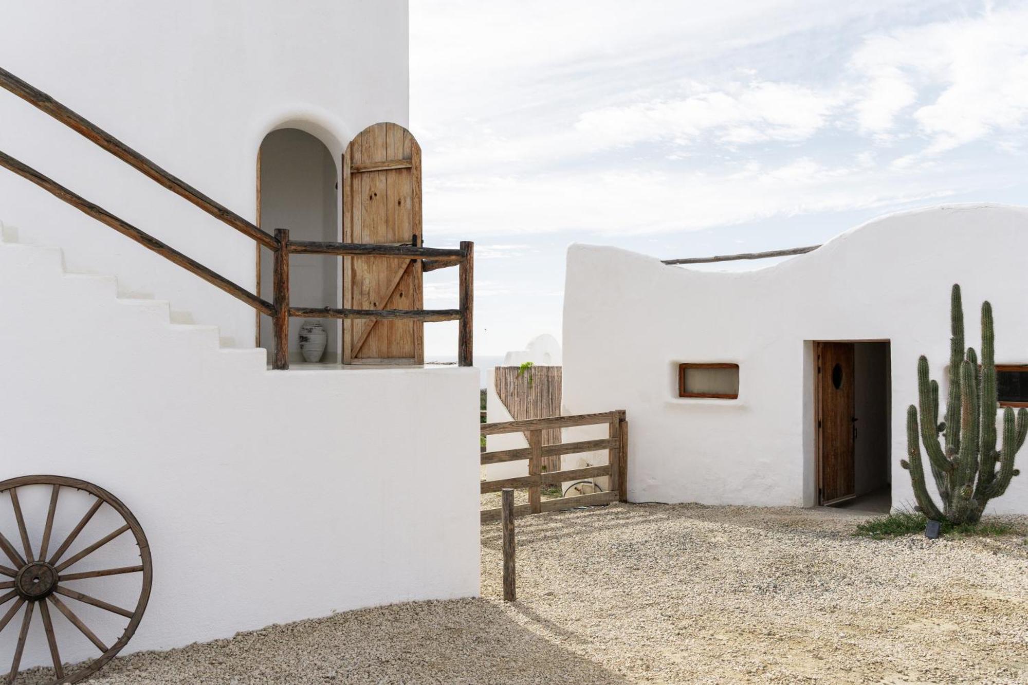 Nest Baja Hotel San José del Cabo Buitenkant foto